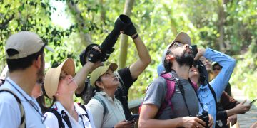 Barranquilla se consolida como capital emergente del aviturismo