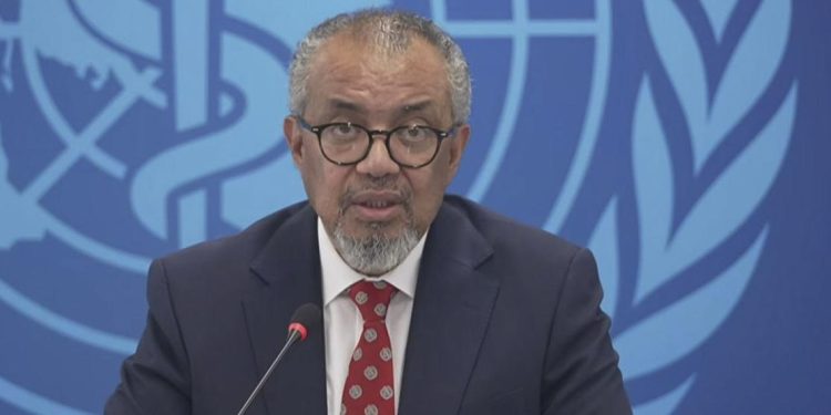 OMS investiga el origen del hantavirus: 5 casos confirmados y otros 4 sospechosos