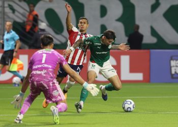 Junior fue goleado por Palmeiras y se despidió de la Libertadores sin consuelo
