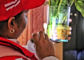 Gobernación del Atlántico intensifica acciones contra el dengue
