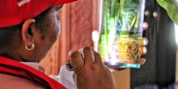 Gobernación del Atlántico intensifica acciones contra el dengue
