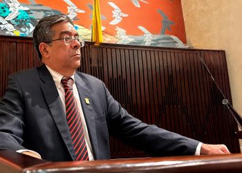 “La democracia no puede ser un espectáculo mediático basado en acusaciones mentirosas”: Dolcey Torres