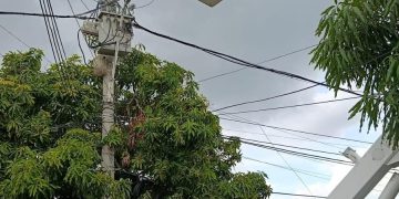 Este lunes por trabajos eléctricos en los circuitos Caracolí 4 y 5 estarán sin servicio de energía estos sectores