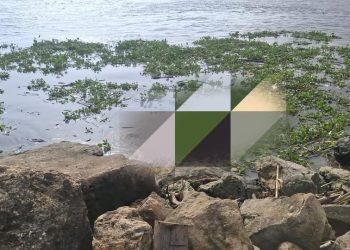 Hallan cuerpo sin vida en playas de Puerto Mocho, en Barranquilla