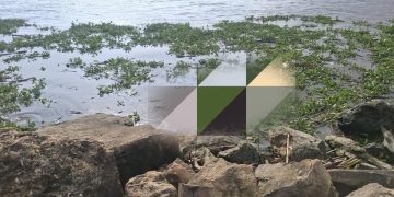 Hallan cuerpo sin vida en playas de Puerto Mocho, en Barranquilla