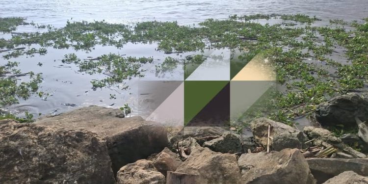Hallan cuerpo sin vida en playas de Puerto Mocho, en Barranquilla
