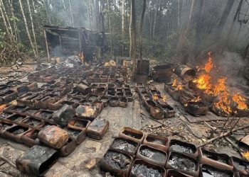 Ejército Nacional neutralizó más de 23 toneladas de permanganato de potasio utilizadas por el grupo armado Comandos de Frontera en Putumayo