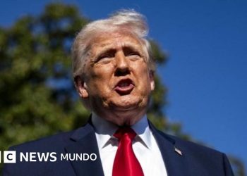 Trump anuncia acuerdo con Irán: se levanta el bloqueo naval y se abre el Estrecho de Ormuz