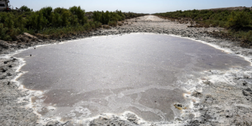 Procuraduría pide analizar el impacto del Fenómeno de El Niño sobre la seguridad alimentaria, energética y la salud pública del país