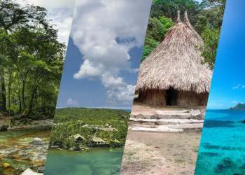 Cargos a exdirector de Parques Nacionales Naturales de Colombia por presunta extralimitación en el ejercicio de funciones