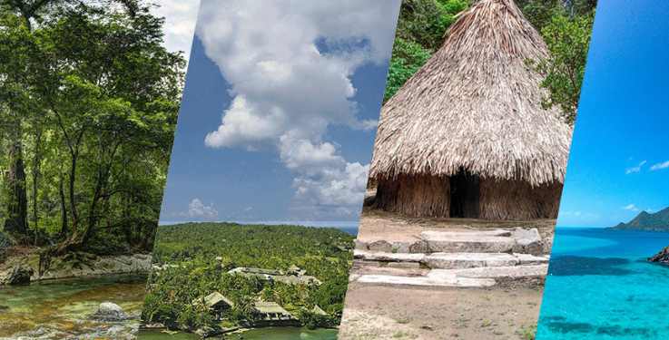 Cargos a exdirector de Parques Nacionales Naturales de Colombia por presunta extralimitación en el ejercicio de funciones