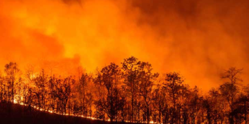 Procuraduría impulsa articulación nacional para fortalecer el servicio de gas y enfrentar riesgos climáticos