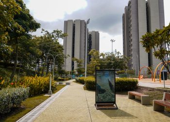 Barranquilla ha recuperado cerca de 2 millones de metros cuadrados de espacio público sostenible con ‘Todos al Parque’