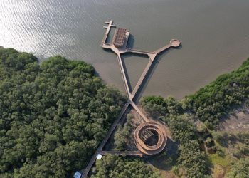 Barranquilla implementa acciones para mitigar el calor extremo y fortalece su liderazgo en el Día Mundial del Medioambiente