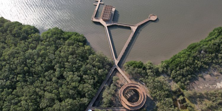 Barranquilla implementa acciones para mitigar el calor extremo y fortalece su liderazgo en el Día Mundial del Medioambiente