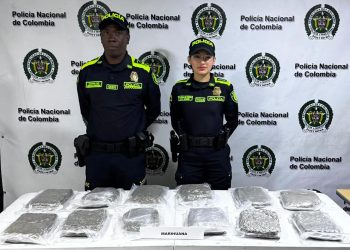 Policía incautó 6,5 kilos de estupefacientes en la Terminal Metropolitana de Transporte de Barranquilla