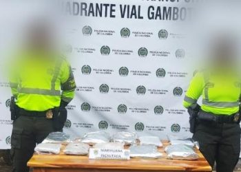 Golpe al narcotráfico en las carreteras de Bolívar: incautan más de 3.700 dosis de marihuana ocultas en un tractocamión