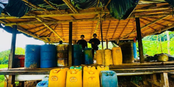 Nuevo golpe al Clan del Golfo: destruyen ocho laboratorios para procesar coca en Córdoba