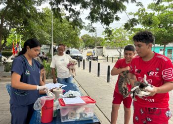 Alcaldía de Barranquilla refuerza promoción por el bienestar animal con jornadas gratuitas en las barrios