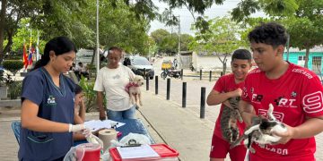 Alcaldía de Barranquilla refuerza promoción por el bienestar animal con jornadas gratuitas en las barrios