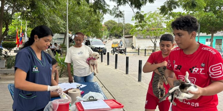 Alcaldía de Barranquilla refuerza promoción por el bienestar animal con jornadas gratuitas en las barrios
