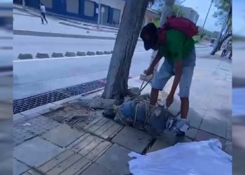 Alarma falsa en el Centro Cívico: El presunto “cadáver abandonado” resultó ser un perro
