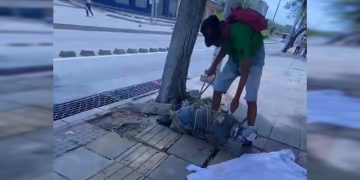 Alarma falsa en el Centro Cívico: El presunto “cadáver abandonado” resultó ser un perro