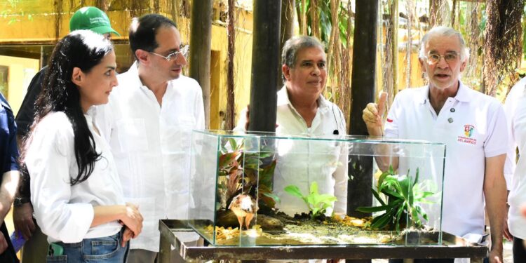 Milagro: una nueva esperanza para el paujil de pico azul