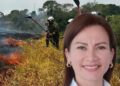 Militarizarán zonas afectadas por incendios en Tolima ante sospecha de conflagraciones provocadas
