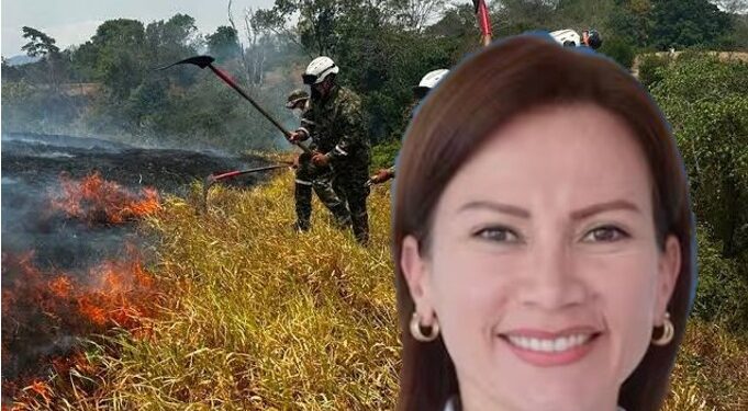 Militarizarán zonas afectadas por incendios en Tolima ante sospecha de conflagraciones provocadas