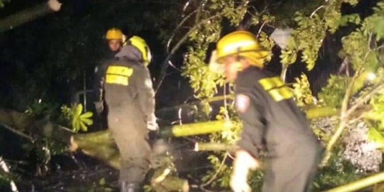 Baranoa no da tregua: fuertes brisas causan estragos y obligan a desplegar a los Bomberos