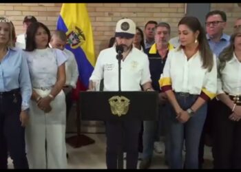 Gobierno declara emergencia por incendios en Tolima y ofrece $50 millones por información sobre responsables