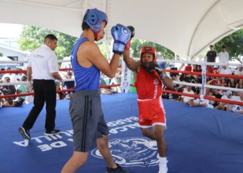 Alcaldía promueve las nuevas generaciones del boxeo con la II Copa Talento Barranquilla