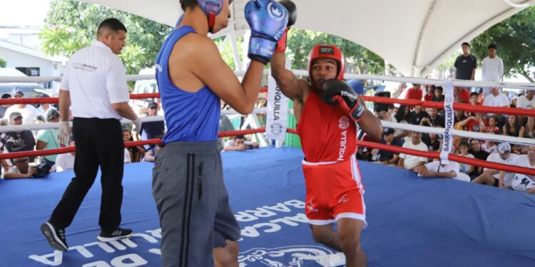 Alcaldía promueve las nuevas generaciones del boxeo con la II Copa Talento Barranquilla