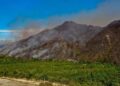 Tragedia ambiental en Tolima: incendios ya arrasaron más de 22.000 hectáreas y la sequía agrava la emergencia
