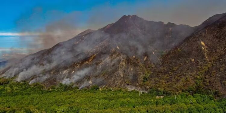 Tragedia ambiental en Tolima: incendios ya arrasaron más de 22.000 hectáreas y la sequía agrava la emergencia
