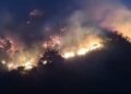 Emergencia en Ábrego: Incendio forestal consume más de 3.000 hectáreas y desborda la capacidad municipal