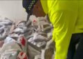 Incautan más de 241 kilos de marihuana durante allanamiento en La Unión