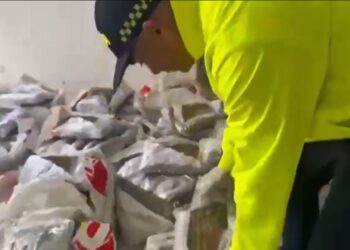 Incautan más de 241 kilos de marihuana durante allanamiento en La Unión