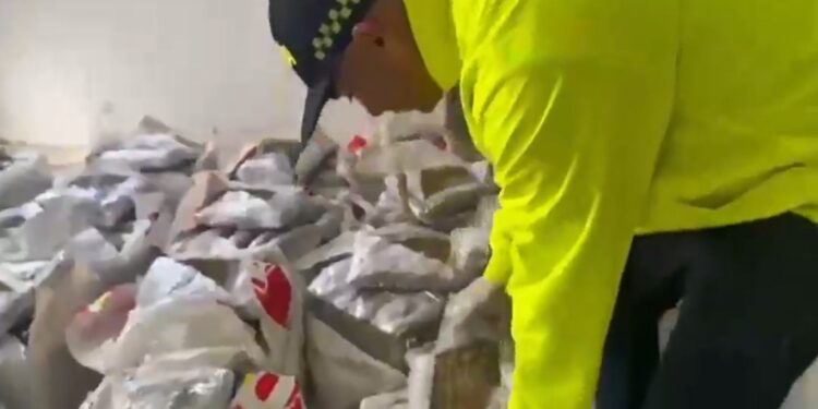 Incautan más de 241 kilos de marihuana durante allanamiento en La Unión