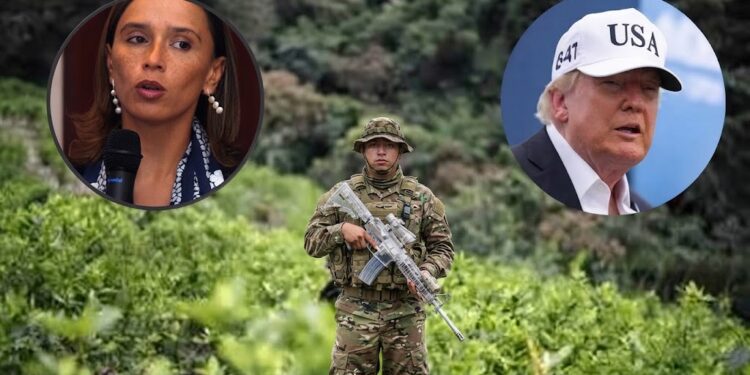 “Descertificación de Colombia por parte de EE. UU. es el resultado del desgobierno de los últimos cuatro años”: María Consuelo Araújo