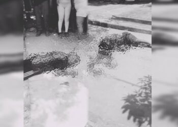 Doble homicidio en El Manantial: sicarios asesinan a dos hombres en plena vía pública