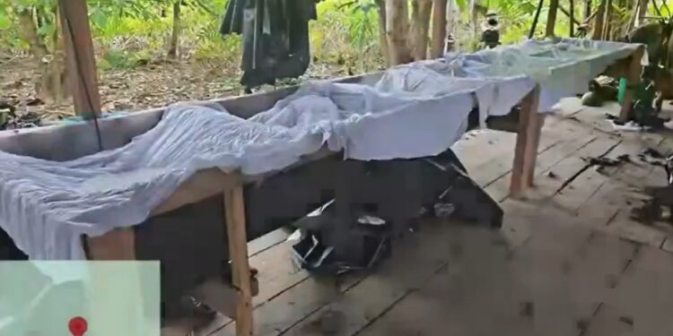 Golpe al narcotráfico: descubren complejo en Nariño que producía hasta 3 toneladas de cocaína al mes