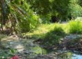 ‘El Che’ fue encontrado muerto a tiros en una trocha de Polonuevo: esto se sabe