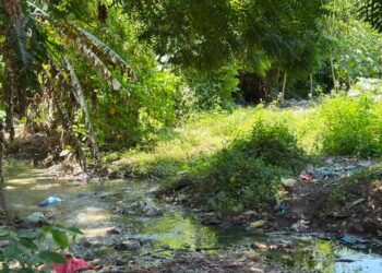 ‘El Che’ fue encontrado muerto a tiros en una trocha de Polonuevo: esto se sabe