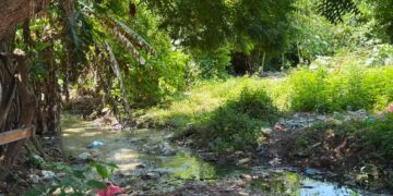 ‘El Che’ fue encontrado muerto a tiros en una trocha de Polonuevo: esto se sabe