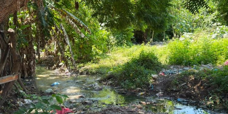 ‘El Che’ fue encontrado muerto a tiros en una trocha de Polonuevo: esto se sabe