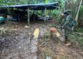 Ejército destruyó laboratorio de pasta base de coca en Miraflores, Guaviare
