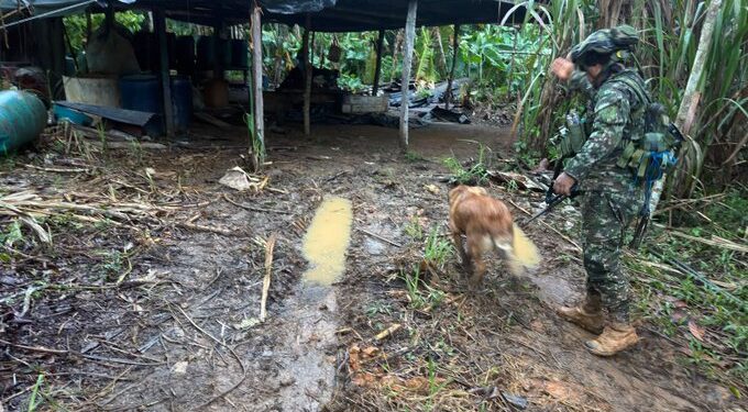 Ejército destruyó laboratorio de pasta base de coca en Miraflores, Guaviare