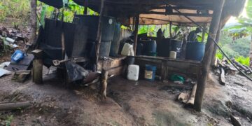 Golpe al Clan del Golfo en Antioquia: destruyen dos laboratorios de coca y afectan sus finanzas en $80 millones